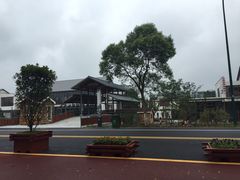 -新木器时代餐厅(太湖新天地店)