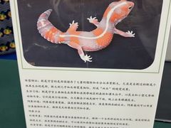 -万达广场(宜兴店)