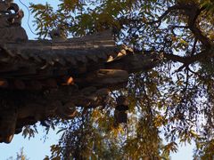 -张掖大佛寺景区