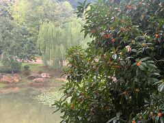 -酱湘宴餐厅(狮子山公园店)