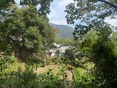 -塔川景区