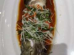 -老洋房花园饭店(绍兴路店)