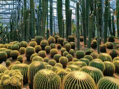 -南山植物园