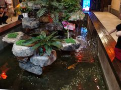 -农家大院(纪王店)