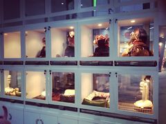 -1013 PET SHOP 宠物商店(近铁城市广场店)