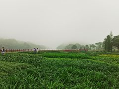 -广州市石门国家森林公园