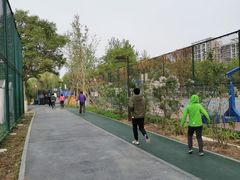 -回龙观体育文化公园