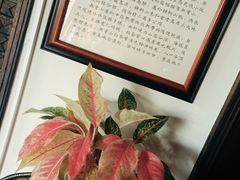 -大可堂普洱茶馆(襄阳南路馆)
