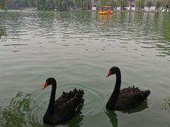 -洛阳马蹄泉旅游度假村