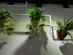 android_upload_pic-伊斯坦布尔土耳其清真咖啡餐厅