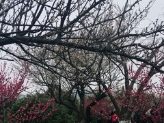 -西山风景区