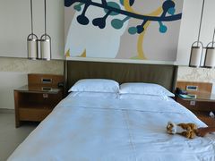 -三亚海棠湾万丽度假酒店