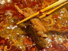 -朱光玉火锅馆(正弘城店)