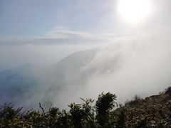 -大围山国家森林公园