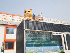 -向外鱼乐·土菜·虹鳟鱼