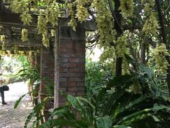 -华南国家植物园-售票处