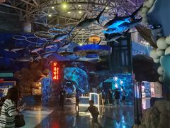 -烟台海昌鲸鲨海洋公园