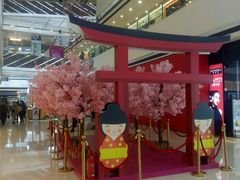 -万达广场(松江店)