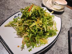 爽口苦菊-华盛园卷子王农家菜水库鱼