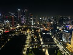 -新加坡瑞士史丹福酒店