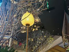 -桂满陇·海市蜃楼·黑金(国金店)