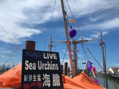 -Steveston Pizza Company (Richmond)