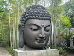 -杭州植物园