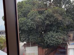 -点都德(广州白云山景区南门店)