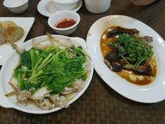 -肥信潮菜(科新路店)