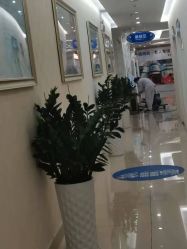 点击看大图 -海峡医疗美容医院