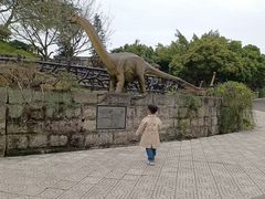 -自贡恐龙博物馆