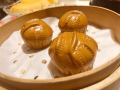 -唐猫庭院·千年陕菜(大唐不夜城店)