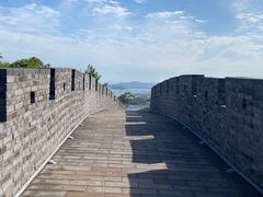 -黄贤森林公园
