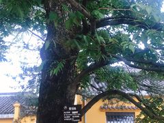 -九华山风景区月身宝殿