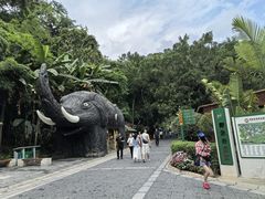 -野象谷景区