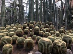 -南山植物园