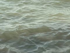 -苏州太湖西山岛开心农场