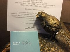 -上海崇明金茂凯悦酒店