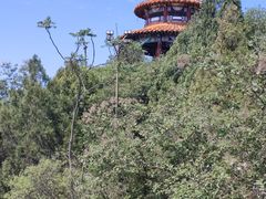 -府君山公园