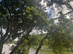 -福建鲤鱼洲酒店