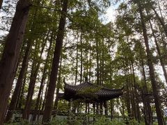 -瀛洲公园
