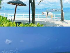 -亚龙湾热带天堂森林公园
