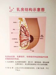 点击看大图 -大美母婴月子中心(馨乐庭店)