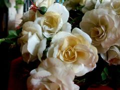 -Babycat私家御饼屋(龙头路一店)