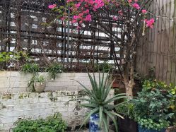 -爱贝乐妈咪月子中心