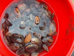 -东疆理想海岸沙滩景区