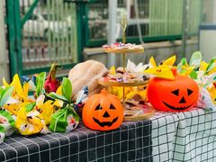 -卓悦童国际幼儿园