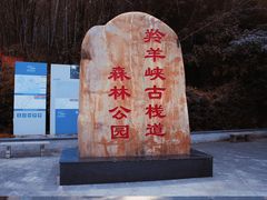 -羚羊峡古栈道森林公园