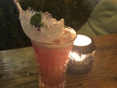 -Sirena海妖日咖夜酒