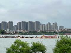 -九龙湖公园